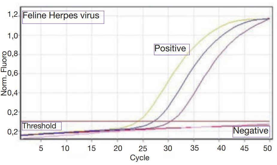Laboklin: Fluorescence curve Real-time-PCR