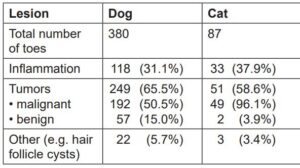Laboklin: Incidence of neoplastic and non-neoplastic lesions in submitted amputated toes from dogs and cats