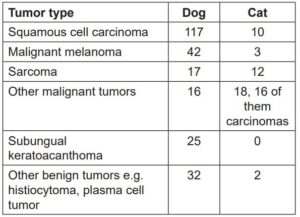 Laboklin: Incidence of various tumors in amputated toes of submissions from dogs and cats
