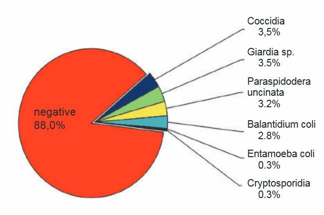 Laboklin: Parasite detection in guinea pigs using flotation and SAF methods (n=689)
