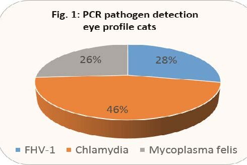 Laboklin: PCR pathogen detection eye profile cats