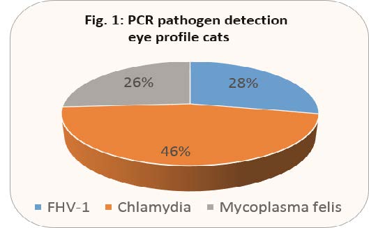 Laboklin: PCR pathogen detection eye profile cats