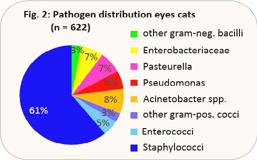Laboklin: Pathogen distribution eyes cats (n = 622)