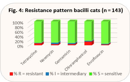 Laboklin: Resistance pattern bacilli cats (n = 143)