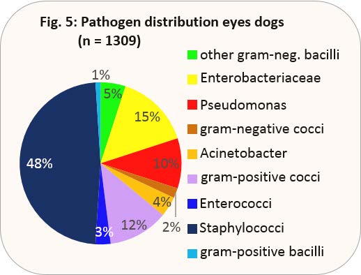 Laboklin: Pathogen distribution eyes dogs (n = 1309)