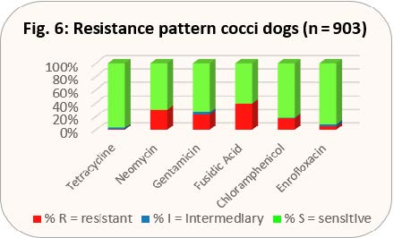 Laboklin: Resistance pattern cocci dogs (n = 903)