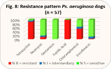 Laboklin: Resistance pattern Ps. aeruginosa dogs (n = 57)