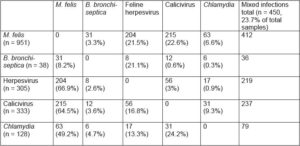 Laboklin: Mixed infections and frequency of occurrence of the individual pathogens of feline upper respiratory disease (FCV, FHV, chlamydia, mycoplasma, B. bronchiseptica) in 2018