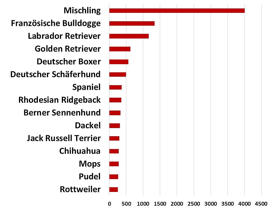 Laboklin: Distribution of the 15 most common dog breeds (≤ 3 years old) in the histological specimens submitted to LABOKLIN (2016 – 2019).