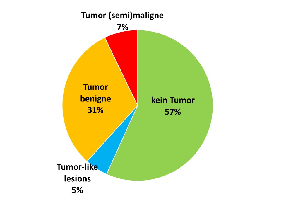 Laboklin: Percentage of the diagnoses “no tumour”, “tumour-like lesions” and “benign tumours” or “(semi)malignant tumours” in dogs ≤ 3 years of age in the LABOKLIN sample material (2016 – 2019)