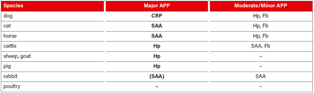 Laboklin: Examples for the use of major APP in the diagnosis of different species; CRP (C-reactive protein), SAA (serum amyloid A), Hp (haptoglobin)