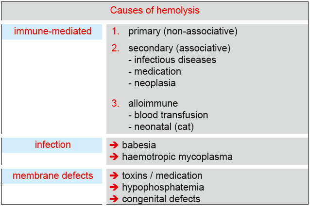 Laboklin: Possible causes of hemolysis.