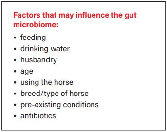 Laboklin: Factors influencing the gut microbiome