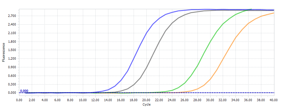 Laboklin: PCR amplification curve