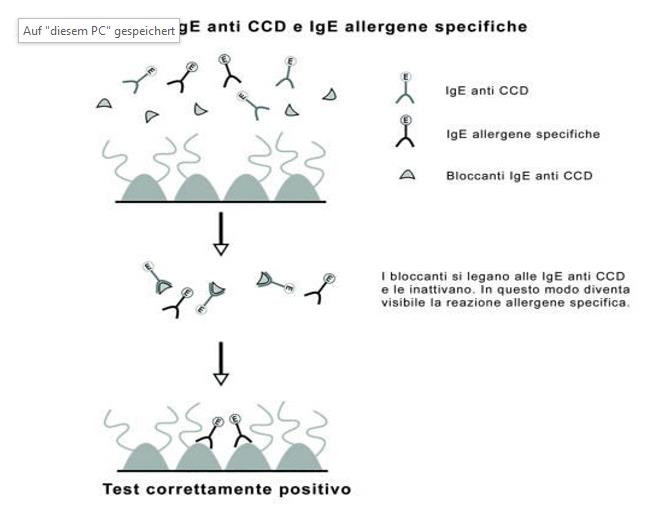 Influenza delle catene laterali dei carboidrati sul test per gli