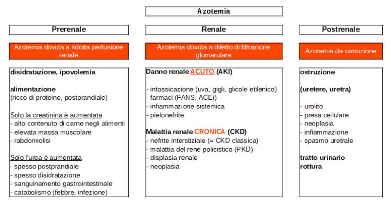 Laboklin: Diagnosi differenziali di azotemia