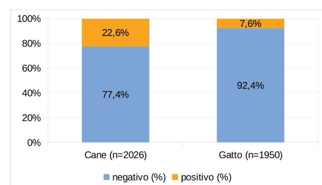 Percentuali di rilevamento utilizzando la PCR