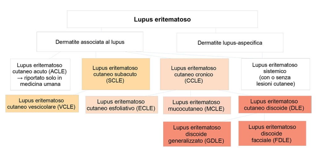 Formen des caninen kutanen Lupus erythematodes