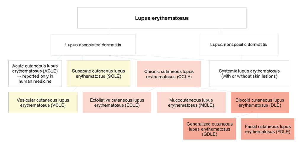 Variants of canine cutaneous lupus erythematosus