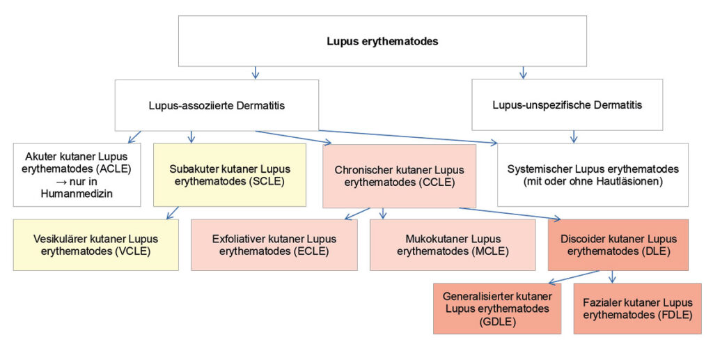 Variants of canine cutaneous lupus erythematosus