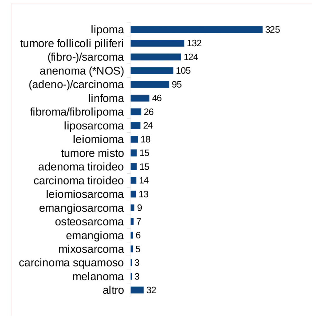 Diagnosi tumorali nelle cavie nei campioni inviati a Laboklin (2013-2020) *NOS: not otherwise specified