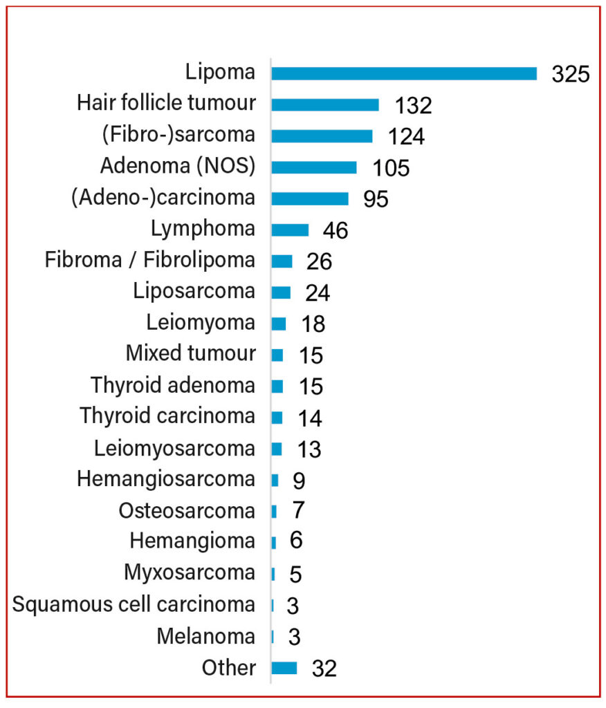 Tumour diagnoses in guinea pigs from Laboklin submissions (2013–2020). *NOS: not otherwise specified
