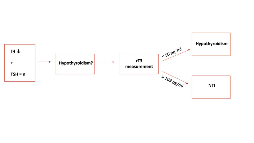 Diagnostic guide for rT3