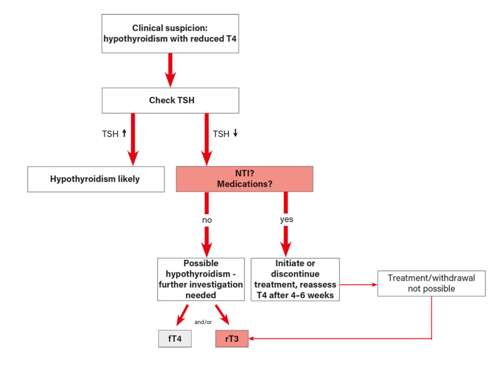Initial evaluation of a reduced T4 concentration in blood