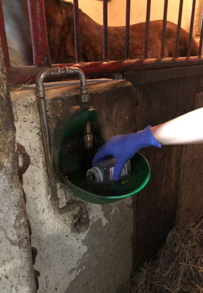 Sampling from a drinking trough