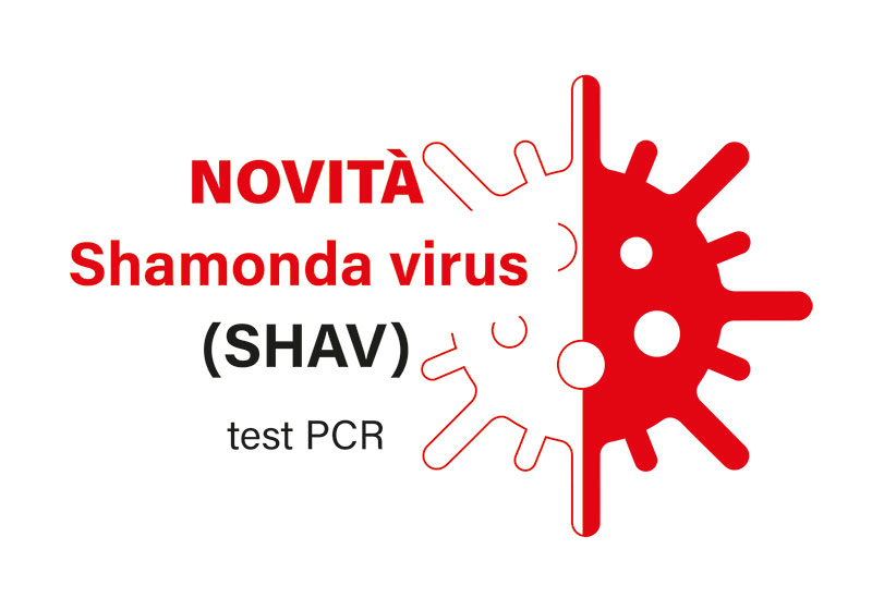 Shamonda virus